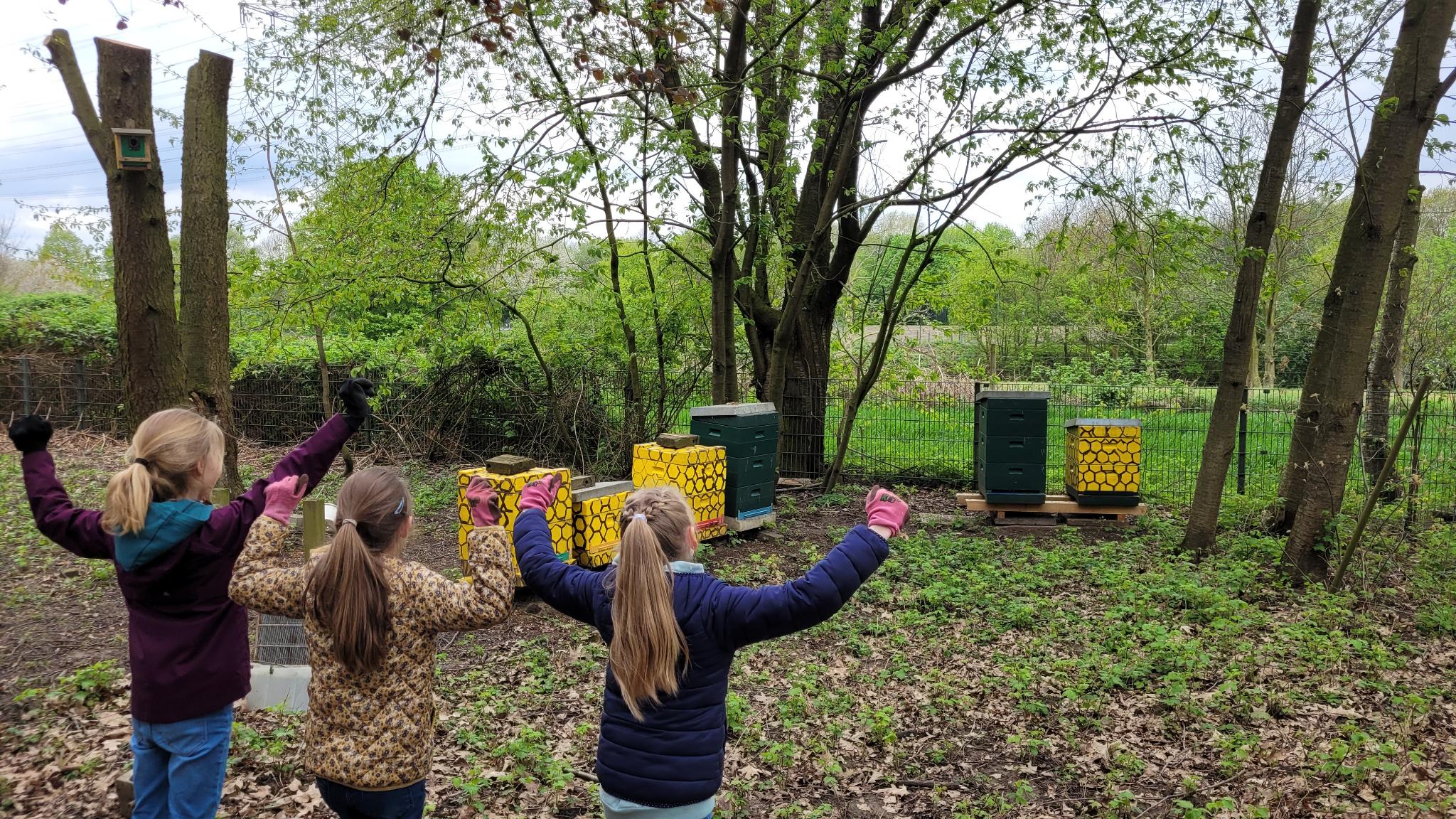 Kinder der Schule stehen vor den Bienenbeuten der Schule und freuen sich über die fliegenden Bienen.